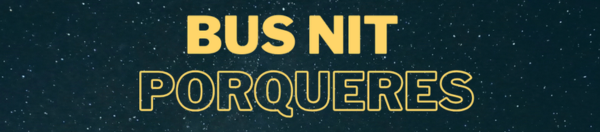 BUS NIT PORQUERES